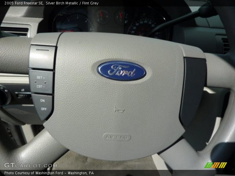 Silver Birch Metallic / Flint Grey 2005 Ford Freestar SE