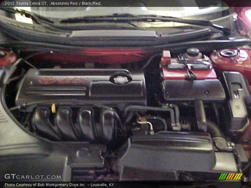 Absolutely Red / Black/Red 2002 Toyota Celica GT