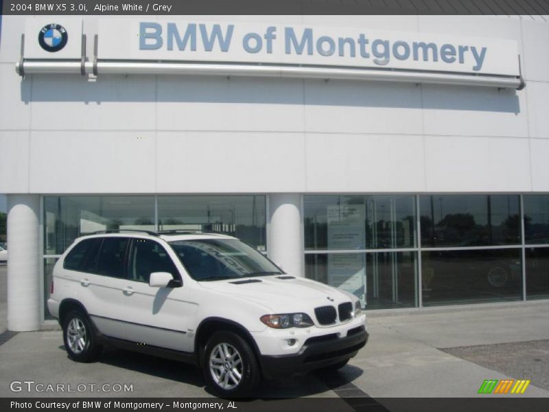 Alpine White / Grey 2004 BMW X5 3.0i