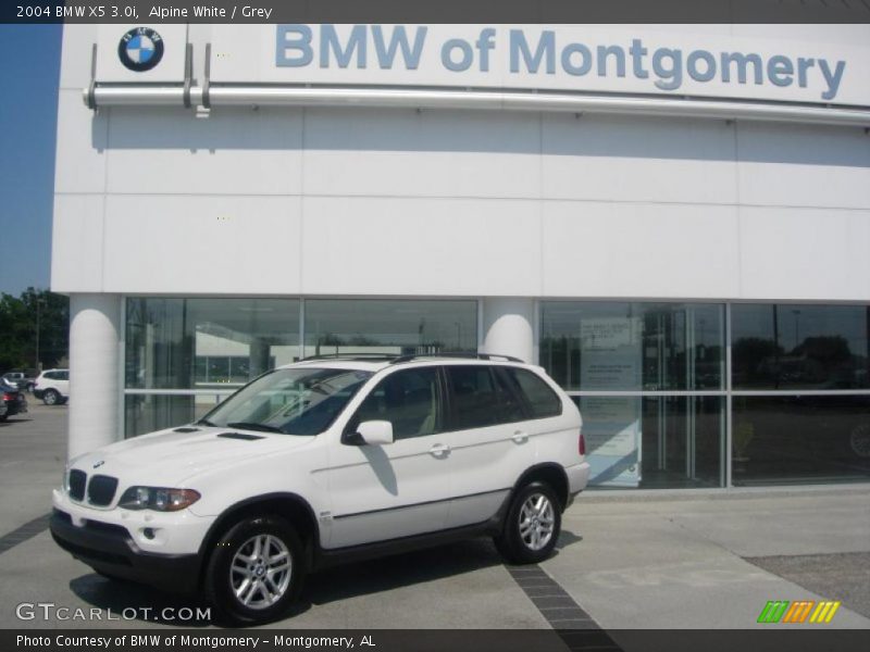 Alpine White / Grey 2004 BMW X5 3.0i