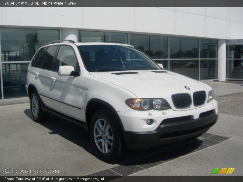 Alpine White / Grey 2004 BMW X5 3.0i