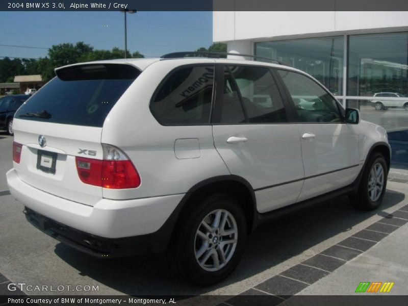 Alpine White / Grey 2004 BMW X5 3.0i