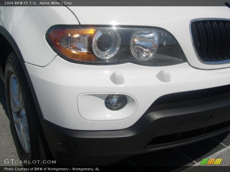 Alpine White / Grey 2004 BMW X5 3.0i