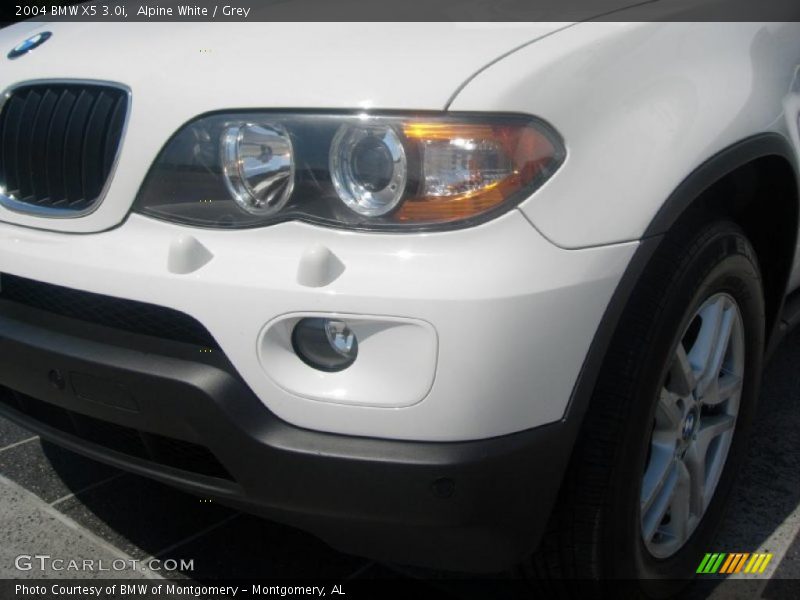 Alpine White / Grey 2004 BMW X5 3.0i