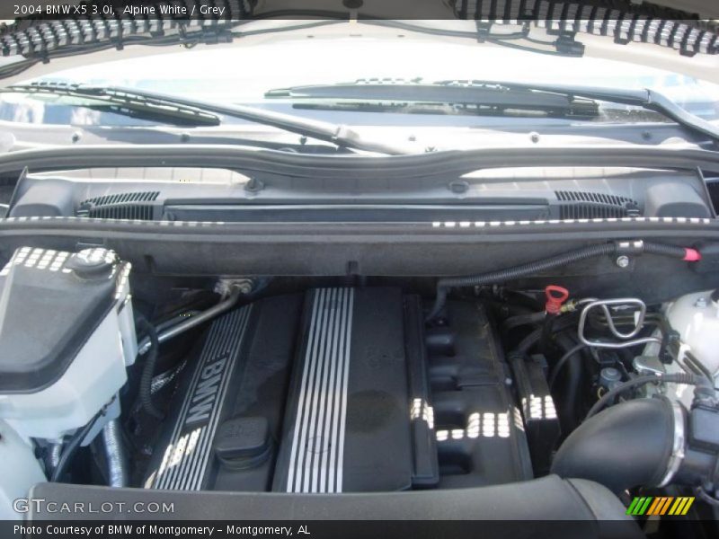 Alpine White / Grey 2004 BMW X5 3.0i