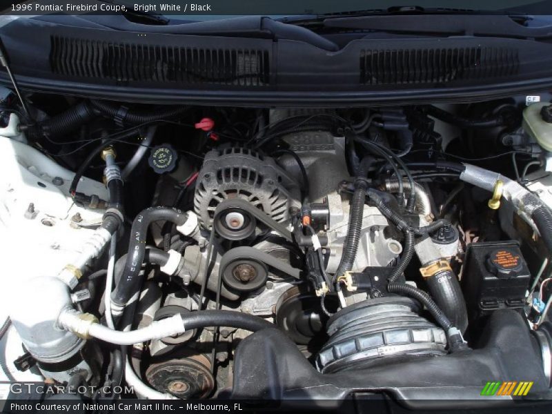 Bright White / Black 1996 Pontiac Firebird Coupe