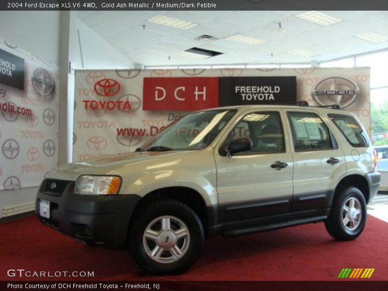 Gold Ash Metallic / Medium/Dark Pebble 2004 Ford Escape XLS V6 4WD