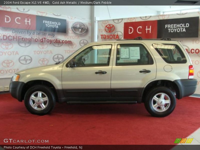 Gold Ash Metallic / Medium/Dark Pebble 2004 Ford Escape XLS V6 4WD