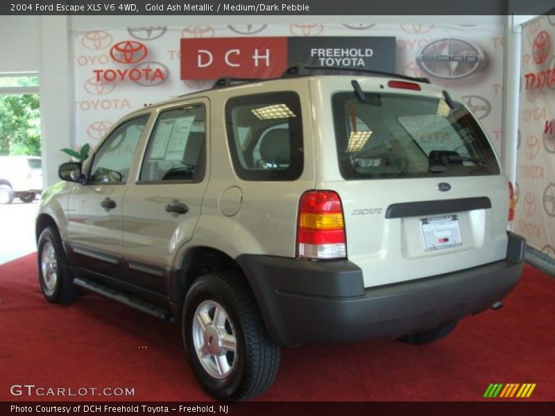 Gold Ash Metallic / Medium/Dark Pebble 2004 Ford Escape XLS V6 4WD