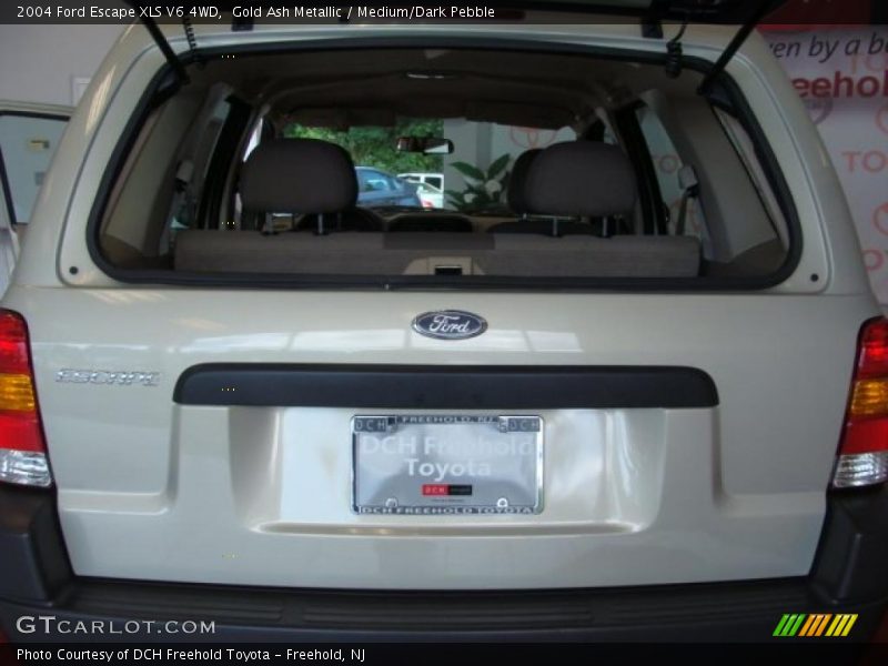 Gold Ash Metallic / Medium/Dark Pebble 2004 Ford Escape XLS V6 4WD
