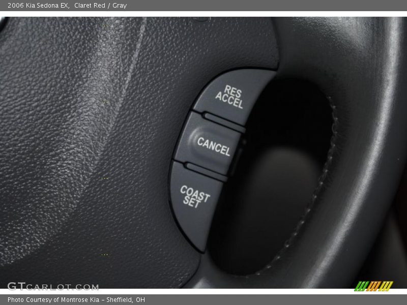 Claret Red / Gray 2006 Kia Sedona EX