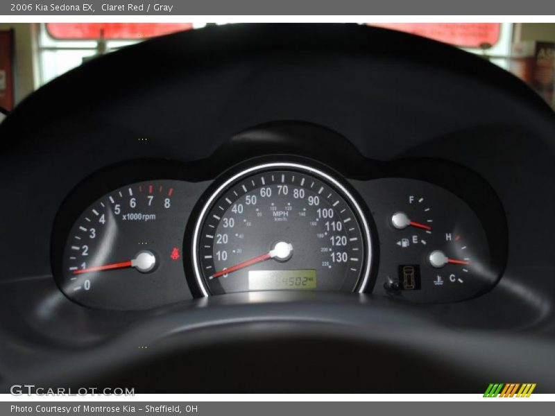 Claret Red / Gray 2006 Kia Sedona EX