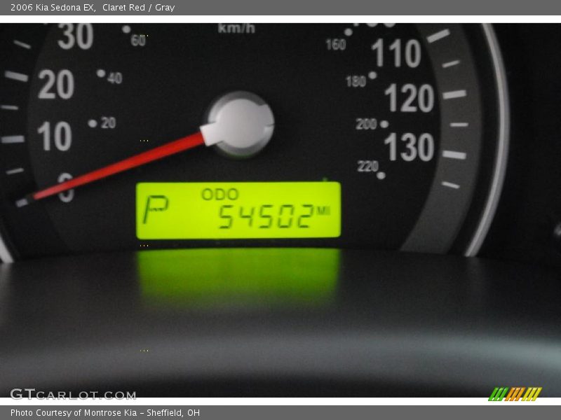 Claret Red / Gray 2006 Kia Sedona EX