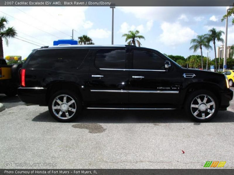 Black Raven / Ebony/Ebony 2007 Cadillac Escalade ESV AWD