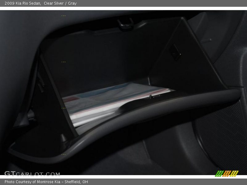 Clear Silver / Gray 2009 Kia Rio Sedan