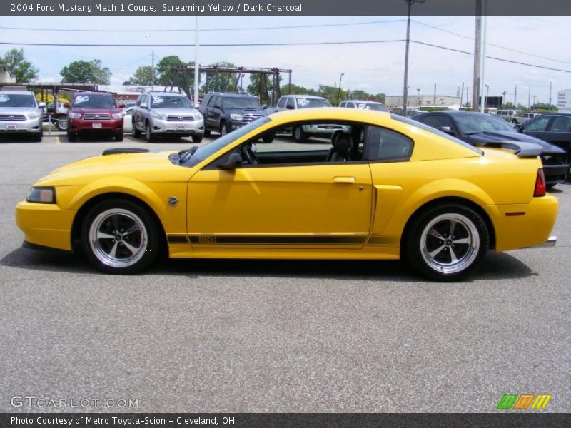 Screaming Yellow / Dark Charcoal 2004 Ford Mustang Mach 1 Coupe