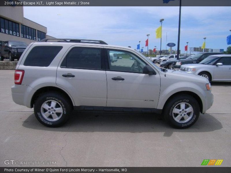 Light Sage Metallic / Stone 2008 Ford Escape XLT