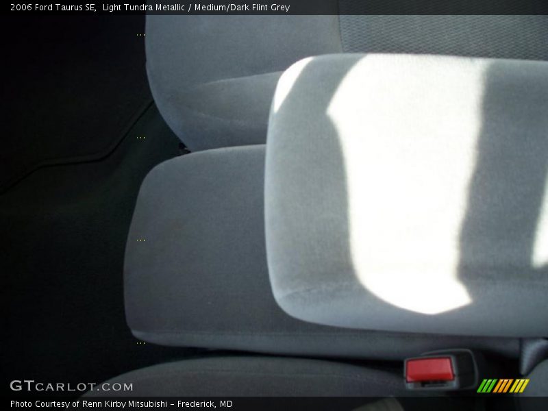 Light Tundra Metallic / Medium/Dark Flint Grey 2006 Ford Taurus SE