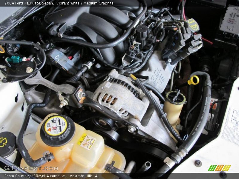 Vibrant White / Medium Graphite 2004 Ford Taurus SE Sedan