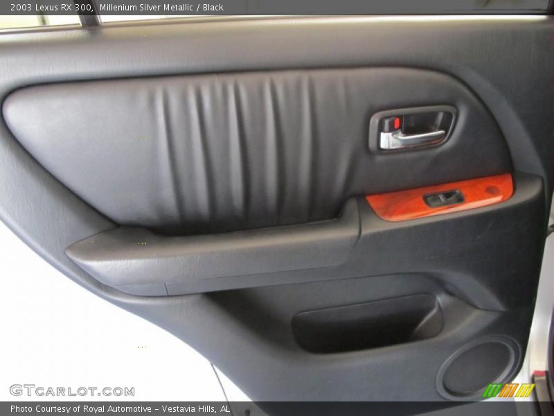 Millenium Silver Metallic / Black 2003 Lexus RX 300
