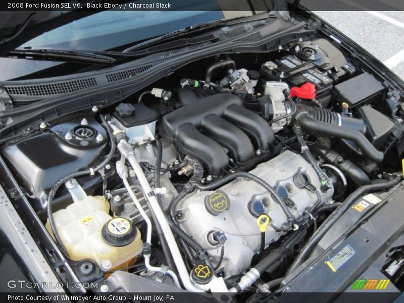 Black Ebony / Charcoal Black 2008 Ford Fusion SEL V6