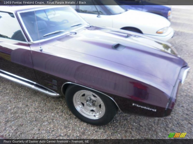 Royal Purple Metallic / Black 1969 Pontiac Firebird Coupe