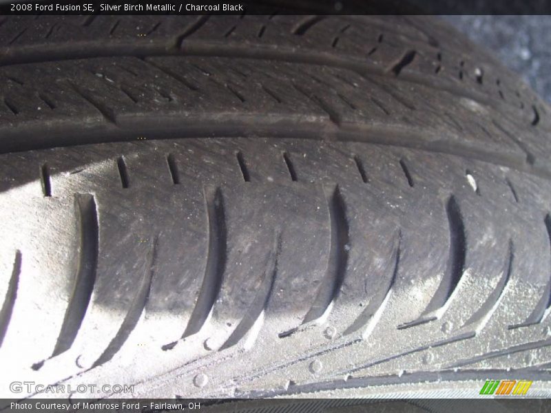 Silver Birch Metallic / Charcoal Black 2008 Ford Fusion SE