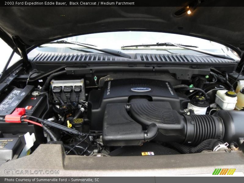 Black Clearcoat / Medium Parchment 2003 Ford Expedition Eddie Bauer