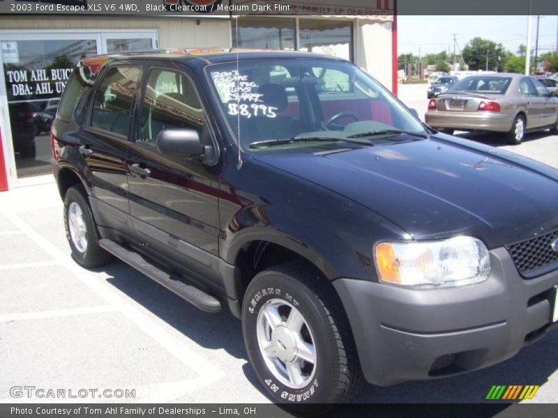 Black Clearcoat / Medium Dark Flint 2003 Ford Escape XLS V6 4WD