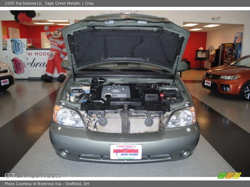Sage Green Metallic / Gray 2005 Kia Sedona LX