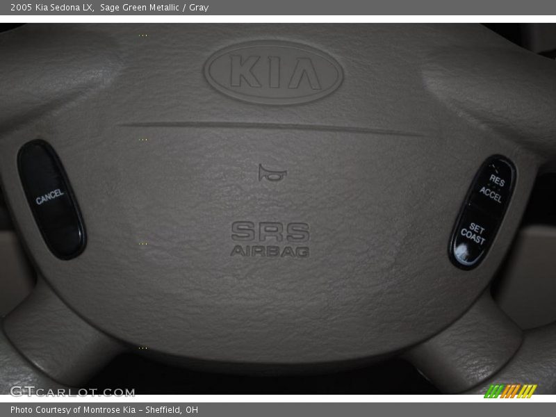 Sage Green Metallic / Gray 2005 Kia Sedona LX