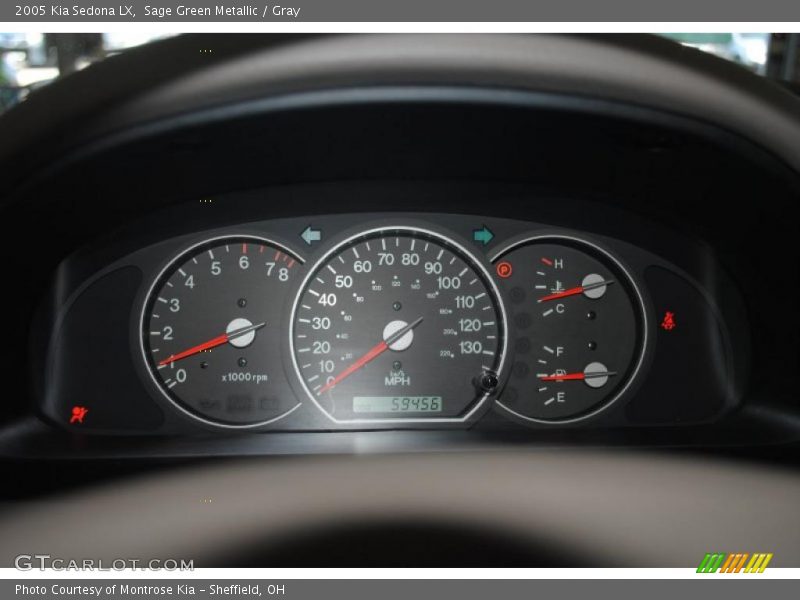 Sage Green Metallic / Gray 2005 Kia Sedona LX