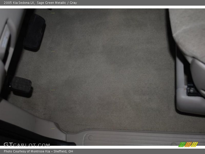 Sage Green Metallic / Gray 2005 Kia Sedona LX