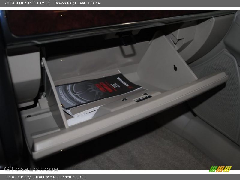 Canyon Beige Pearl / Beige 2009 Mitsubishi Galant ES