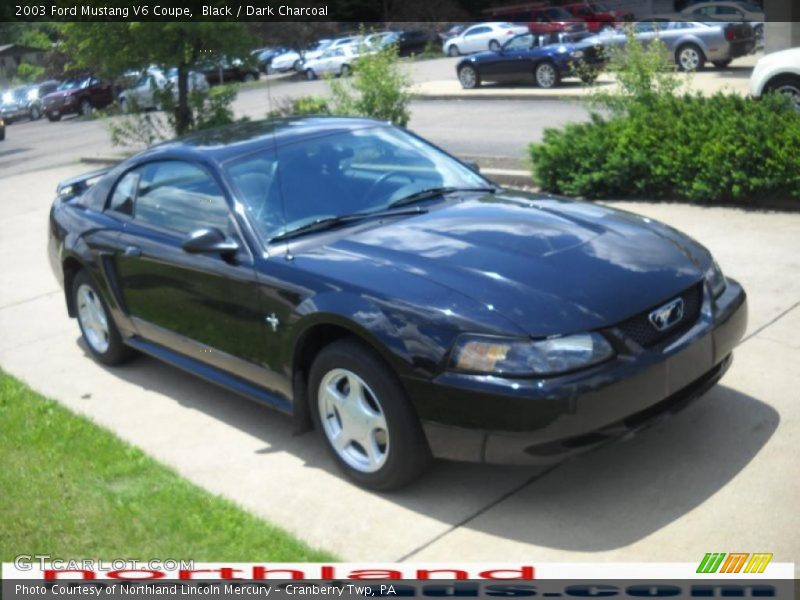 Black / Dark Charcoal 2003 Ford Mustang V6 Coupe