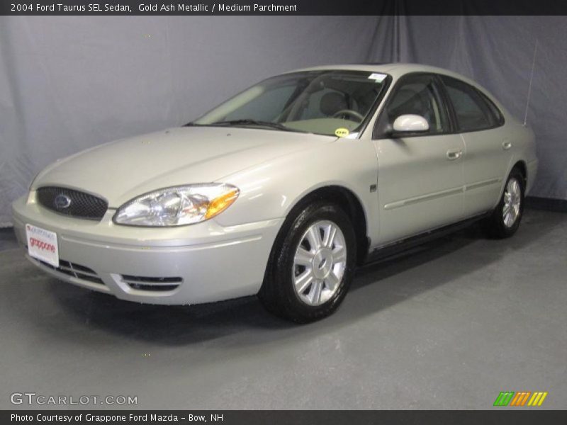 Gold Ash Metallic / Medium Parchment 2004 Ford Taurus SEL Sedan