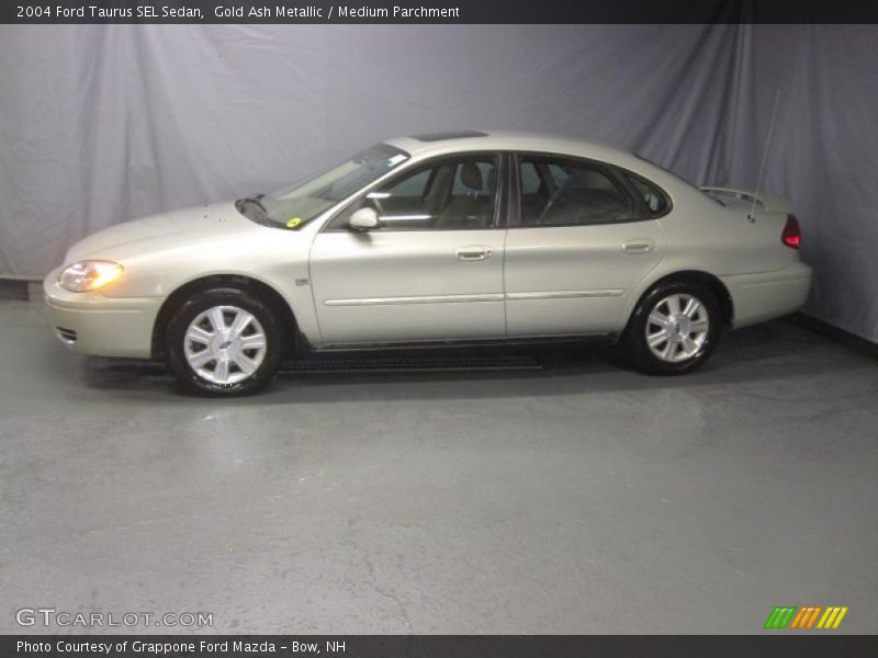 Gold Ash Metallic / Medium Parchment 2004 Ford Taurus SEL Sedan