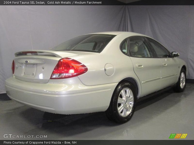 Gold Ash Metallic / Medium Parchment 2004 Ford Taurus SEL Sedan