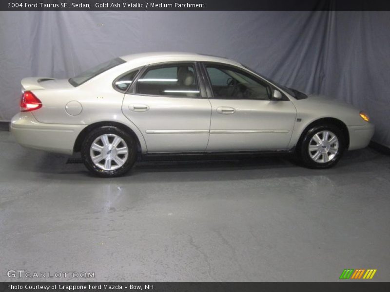 Gold Ash Metallic / Medium Parchment 2004 Ford Taurus SEL Sedan