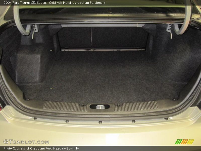Gold Ash Metallic / Medium Parchment 2004 Ford Taurus SEL Sedan