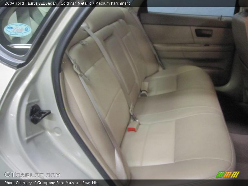 Gold Ash Metallic / Medium Parchment 2004 Ford Taurus SEL Sedan