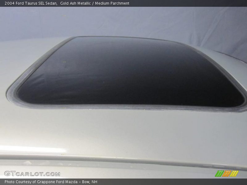 Gold Ash Metallic / Medium Parchment 2004 Ford Taurus SEL Sedan