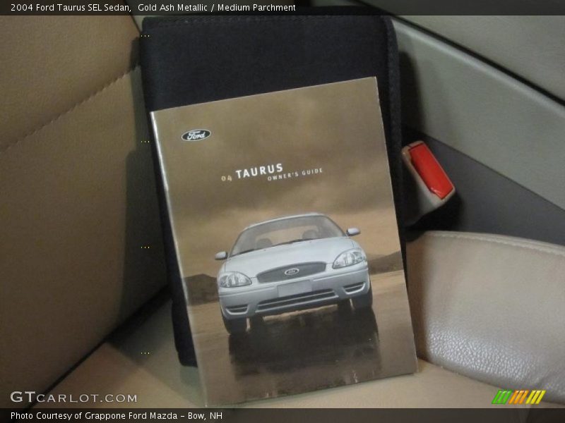 Gold Ash Metallic / Medium Parchment 2004 Ford Taurus SEL Sedan