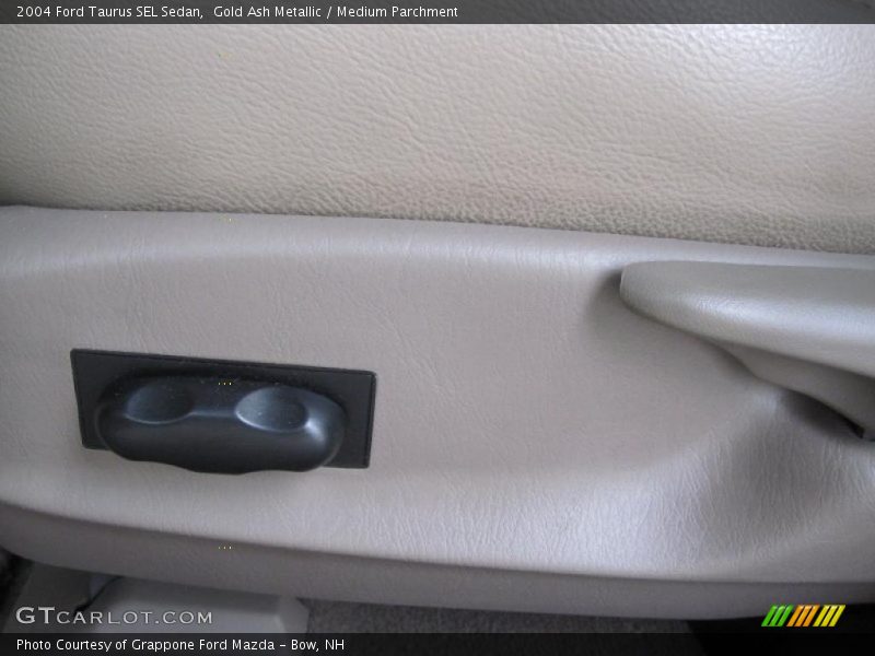Gold Ash Metallic / Medium Parchment 2004 Ford Taurus SEL Sedan