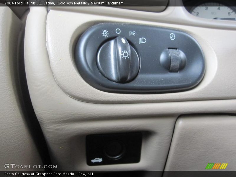 Gold Ash Metallic / Medium Parchment 2004 Ford Taurus SEL Sedan
