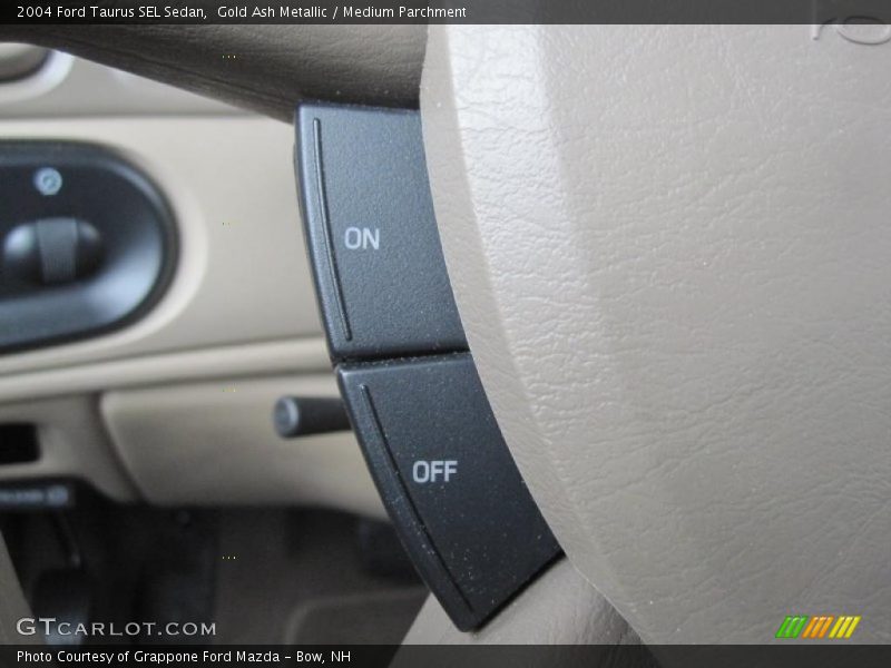 Gold Ash Metallic / Medium Parchment 2004 Ford Taurus SEL Sedan