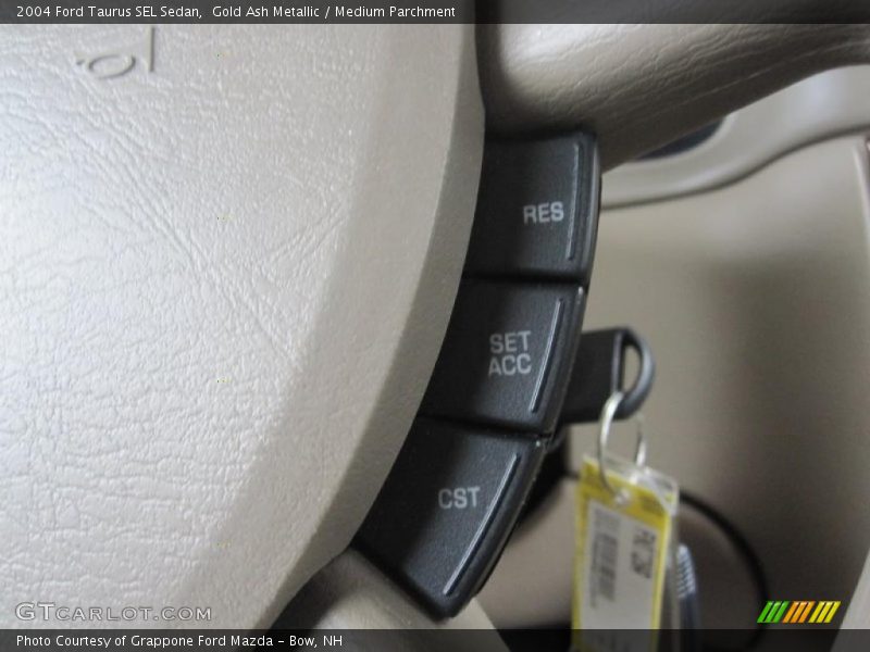 Gold Ash Metallic / Medium Parchment 2004 Ford Taurus SEL Sedan