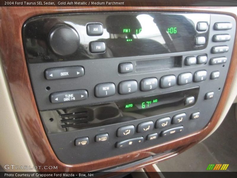 Gold Ash Metallic / Medium Parchment 2004 Ford Taurus SEL Sedan