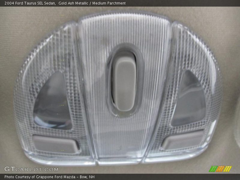 Gold Ash Metallic / Medium Parchment 2004 Ford Taurus SEL Sedan