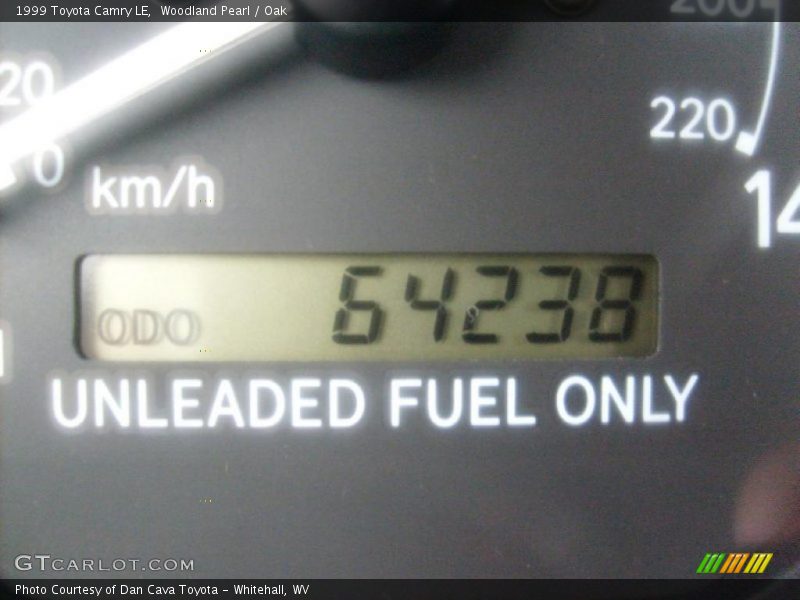 Woodland Pearl / Oak 1999 Toyota Camry LE